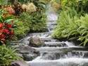 3683Waterfall.