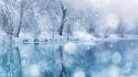 3683_winter_snowfall-wallpaper-1920x1080.