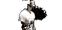 3690tumblr_lyzs7q0b5l1qgbpsfo1_500.