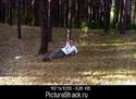 3694Img020.