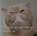 37225_0_84df0_1cf3b3cb_XL.
