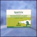 37357_Spartrix-Trichomoniasis-Pigeon.