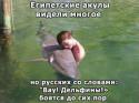 3745_imkgnyages.