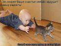 3746koty_2.