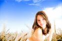 37540_Sandra-Fields_of_gold.