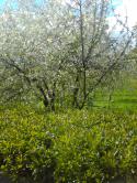 3767_IMG_20140503_150835.