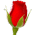 37756_1_god_na_forume.