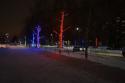37947_trees.