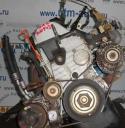 3801_11678230tiorodemabearsubt9506001.
