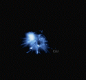 3807tumblr_l9a7klOQyO1qaextmo1_500-new.