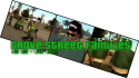 38086_grove1.