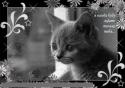 38090_15b83_9663a613_XL.