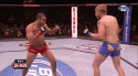 380_Shogun_standing_up.