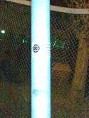 3819Foto0055.