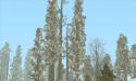 38301_DLC_Call_of_Juarez_Firs_2_WS_002.