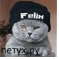 38334_foto_772.
