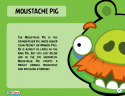 38373_Moustache_Pig_Toy_Care.