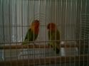 38434_IMAG0001.