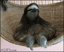 38455_tumblr_mept2ed6H11rwtbps.