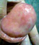 38544_Picture_024.