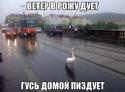 38550_k4cMhZhkkdY.