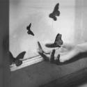 3857tumblr_ltp3qmRnVJ1qkxcjio1_400_large.