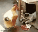 38603_845348564d_orig_.