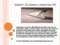 38612_carpet_cleaning_lexington_ky.