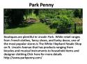 38722_park_penny_1.