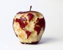 38728_appleglobeweb.