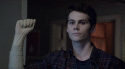 38751_Sterek_03_02.