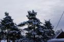 3879_DSC06032.