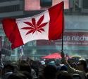 388_Marihuana__Kanada__canadian-cannabis-2110.