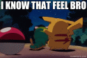 38912_2242102-gamer-gifs-i-know-that-feel-bro.