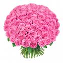 38954_75_rozovie_rozi.