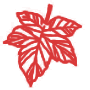 38962009794.