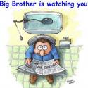 38Big_brother.