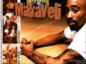 39061205760611_2pac_makaveli_wallpapers_13.