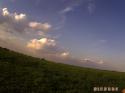 390_PICT0107.