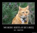 39178_2c9b42cd0f93.