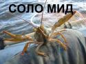 39179_327__004_4.