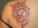 3919lion-tattoo-pics.