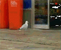 39222_tumblr_lgtfzxkkak1qbay3c_172356877.
