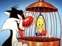 3922_sylvester-tweety.