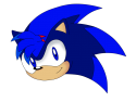 39234_cody_the_hedgehog.