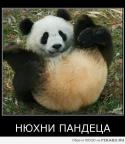 39236_ded9ab.