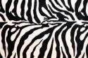 3931zebra-print-wallpaper4.