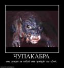 39321_0b18371f2d052a21262e9f922be24a2a.