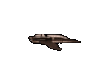 39330_bajoran-starship.