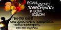 39356_whgx1AO737o.